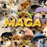 MAGA