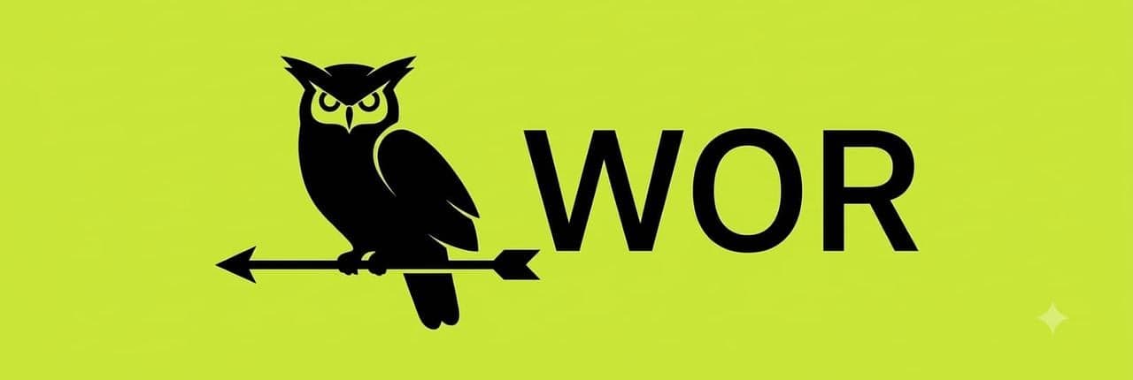 World Of Robin Banner