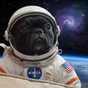 OSCAR