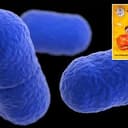 listeria