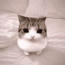Meowpin