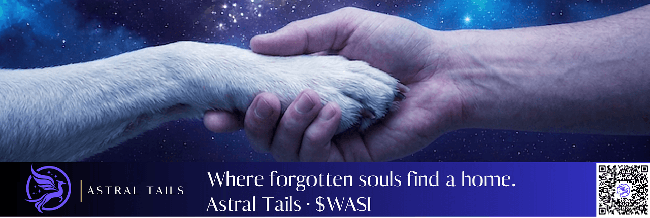 Astral Tails Banner