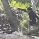 BEAVER