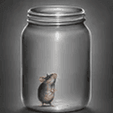 Rat