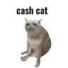 CASHCAT