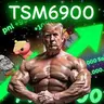 TSM6900