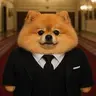 topdog