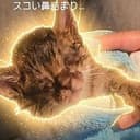 CATE
