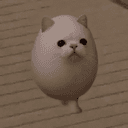 EGGCAT
