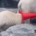 MOM