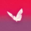 FLY