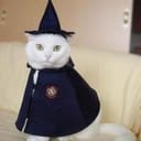 snape