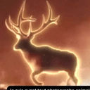 Elk
