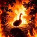 Goosey