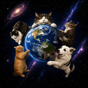 SPINIMALS