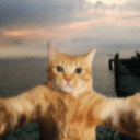 MEOW