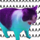 aaaaa