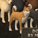 RuneDoge
