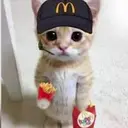 meowdonald