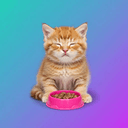 CATO