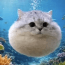 Catfish