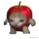 AAPLCAT