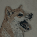 POPDOGE