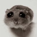 Hammy