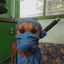 dogana