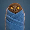 WOOWL