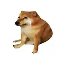 DEBTDOG