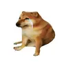 DEBTDOG