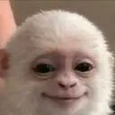 ALBERT