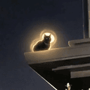 CATMAN