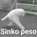 CATTO