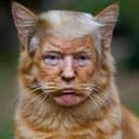 TRUMPCATE