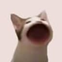 CATTYBARA⁠