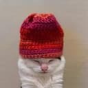 beanie