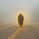 Buffalo