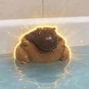 JELLYTUMBO