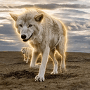 GRAYMANE