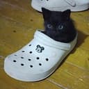 CROCAT