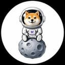 中文ASTEROID