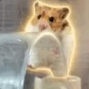 きんたま