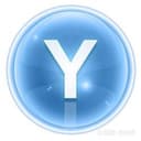 YYDS