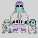 WALRUS