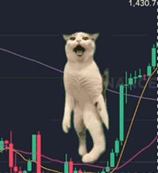 BTC