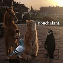 Nonchalant