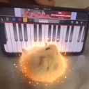 keyster