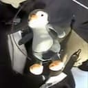 GuinGuin
